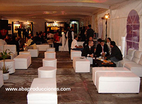 RENTA DE SALAS LOUNGE Y RENTA DE ALFOMBRAS PARA EVENTOS